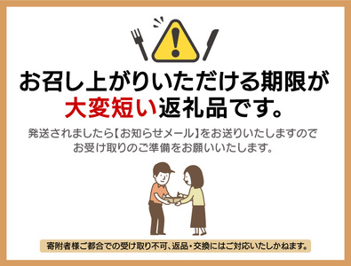 【先行予約】天然 せいこがに × 5杯 (1杯約170g) 茹でたその日に発送！ 【2026年11月中旬以降順次発送予定】[m17-x009_11]