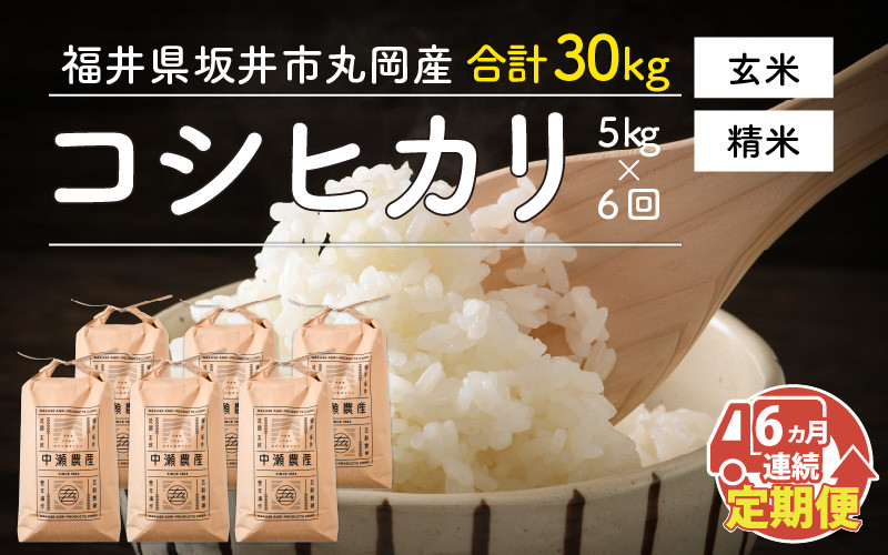 
                  先行予約 令和8年産・新米 【6ヶ月連続お届け】 コシヒカリ 5kg × 6回 計30kg (精米/玄米)【2026年10月より順次発送予定】お米 米 5キロ 定期便 お米の定期便 こしひかり 坂井市産コシヒカリ 精米 玄米 人気 福井県坂井市丸岡町産 国産 [G-11302]
                