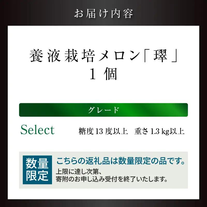 【お中元 外熨斗(短冊) 対応可能】養液栽培メロン「璻」1玉【Select】（糖度13度以上、重さ1.3㎏以上）【熨斗対応可能】