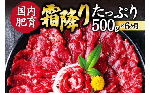 
【6ヶ月定期便】【ふるさと納税】 熊本馬刺し 霜降りたっぷり500g (50g×10パック) 専用醤油付き
