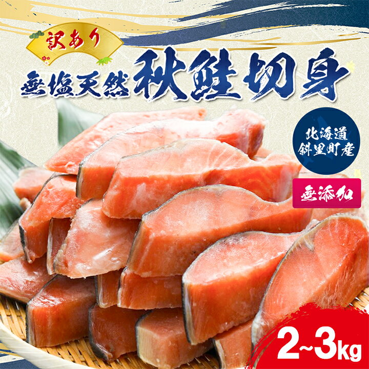 【ふるさと納税】【訳あり】北海道斜里町産　無塩天然秋鮭切身 2kg/3kg【無添加】【配送不可地域：離島・沖縄県】【G1507541】