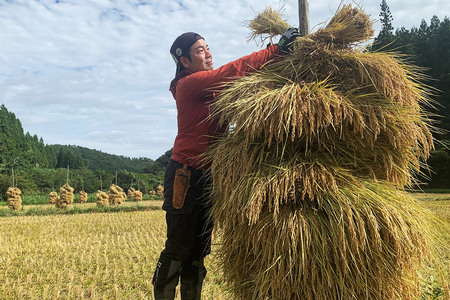 【白米】令和7年産 (栽培期間中)農薬化学肥料不使用・天日干し自然乾燥のお米 5kg