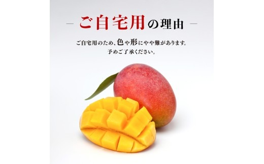 マンゴー 【令和8年発送】宮崎県産ご自宅用完熟マンゴー　3玉　1kg以上 【 果物 フルーツ みやざきマンゴー 先行予約 】 [B03206]