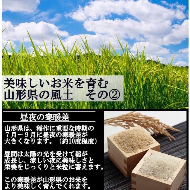 はえぬきお弁当