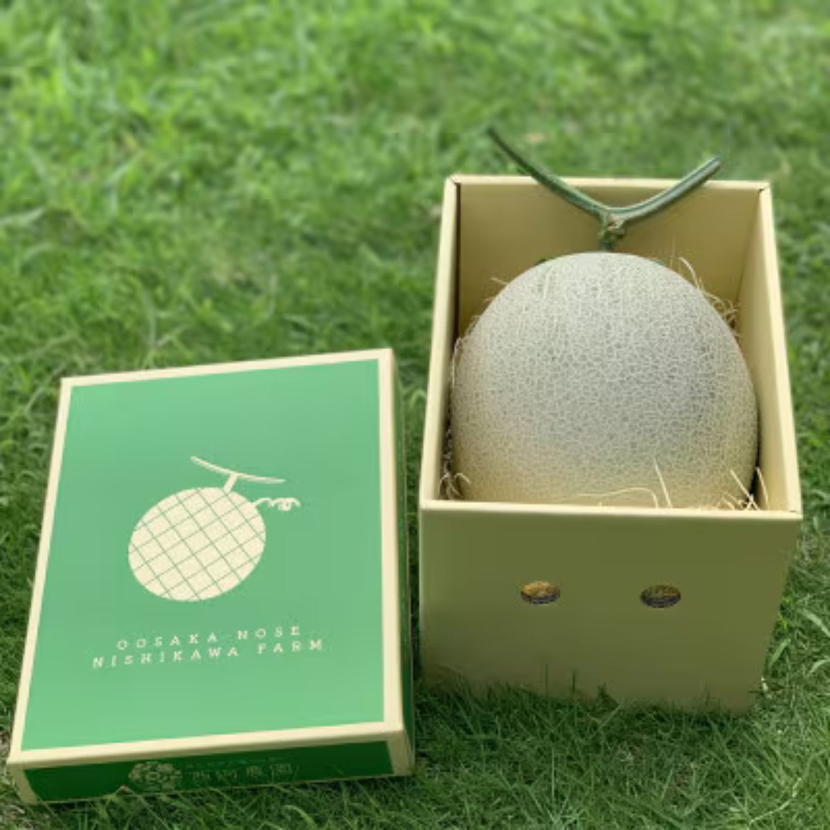 【ふるさと納税】令和8年8月中旬以降発送予定!　大阪府能勢町産　青肉メロン『アールスメロン』1玉【配送不可地域：離島】【1521213】