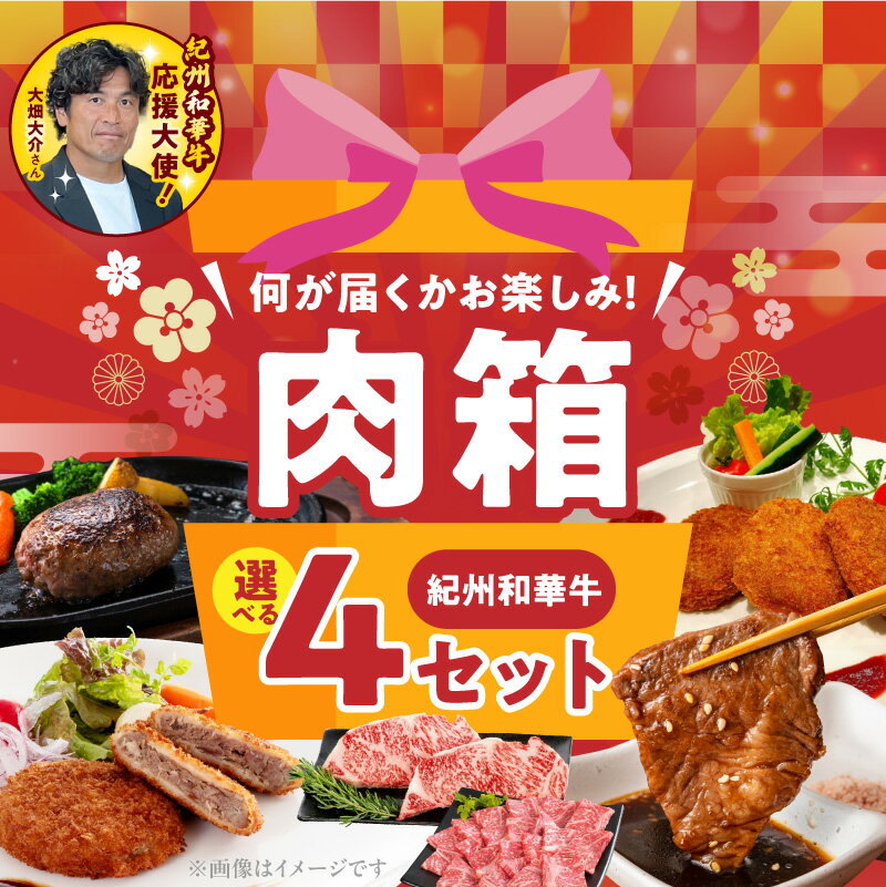 【ふるさと納税】母の日 父の日 お楽しみ 肉箱 選べる セット 紀州和華牛 肉 濃厚 赤身 厳選 お試し ドキドキ 黒毛和牛 ハンバーグ ローストビーフ コロッケ メンチカツ 切り落とし 焼肉用 すき焼き用 しゃぶしゃぶ用 ステーキ ロース ヒレ 和歌山県 湯浅町 送料無料