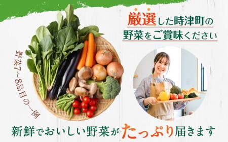 【定期便 12回コース】野菜のプロ40年が届ける こだわり野菜セット！ 7～8品目 詰め合わせ