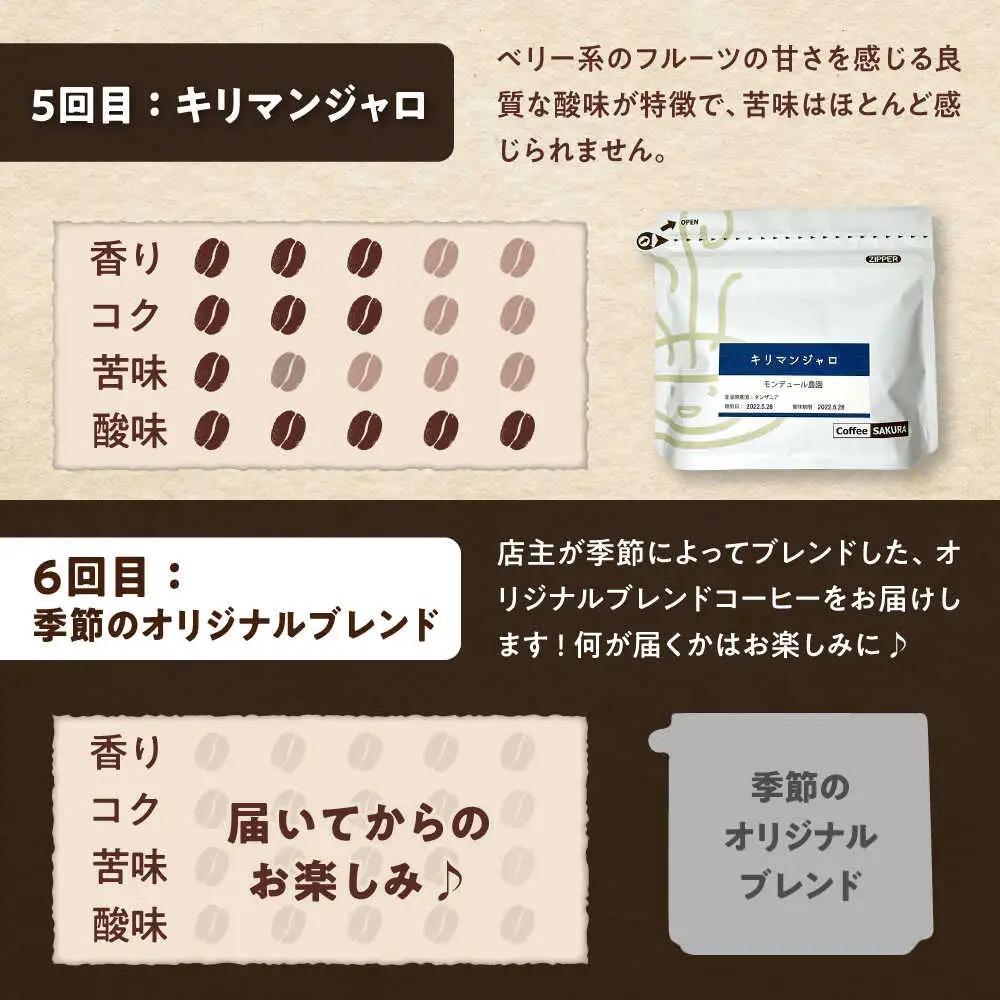 【全6回定期便】世界のコーヒー豆 満足便(豆) / 珈琲 コーヒー / Coffee SAKURA[BBAB152]