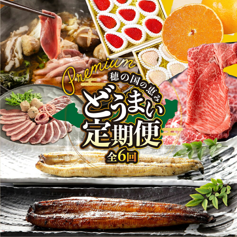 【ふるさと納税】豊橋 どうまい 定期便 プレミアム 全6回 鴨 鍋 / いちご / うなぎ / みかん / ステーキ / 和牛 牛肉 定期 高評価 お楽しみ 鴨肉 フルーツ 鰻 苺 冷凍 訳あり 海鮮 半年 6回 期間限定 数量限定 定期 6ヵ月 愛知県 豊橋市 送料無料 160000円