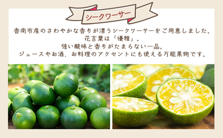 さわやかな香り漂う シークワーサー 1kg  シークヮーサー yr-0106