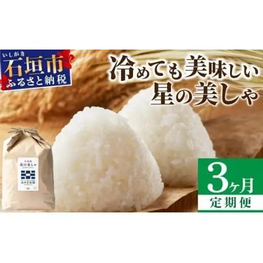 【定期便３回】３ヶ月連続お届け 石垣島産 星の美しゃ（ほしのかいしゃ）15kg（5kg×3回）MK-6