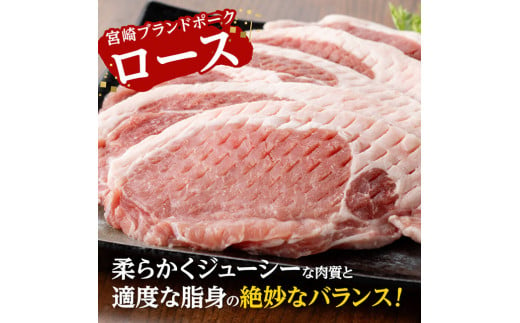 宮崎ブランドポーク ローストンテキ・とんかつ用カット 1kg　豚肉[E11302]