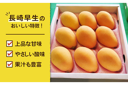【期間限定】五島のびわ（長崎早生）500g 秀品 化粧箱入 五島市/ごとう農業協同組合 [PEM001]