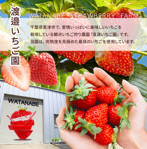 完熟・急速冷凍いちご 2kg | 苺 いちご イチゴ 果物 フルーツ ふるーつ 冷凍 いちご れいとう イチゴ 果実 果汁 冷凍 冷凍食品 冷凍いちご 朝採り 完熟 新鮮 スムージー オススメ 千葉県