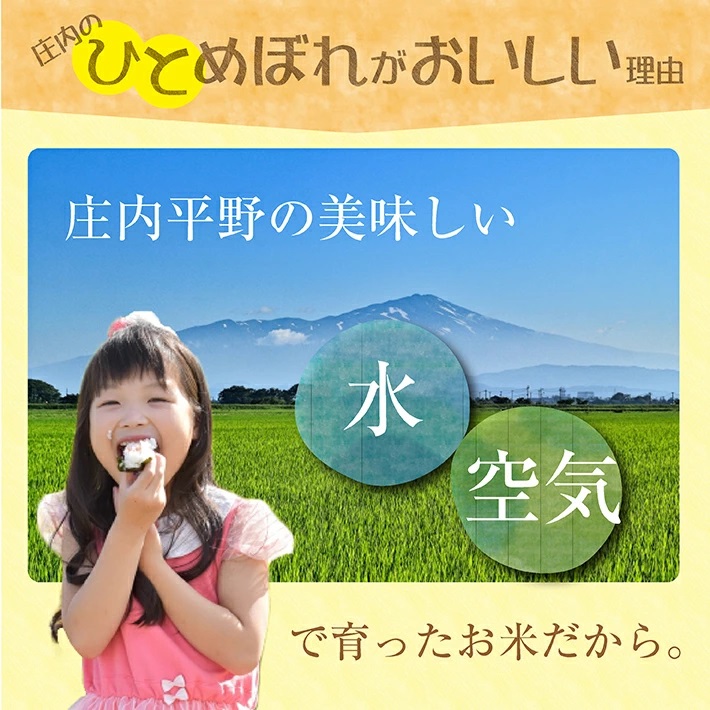 庄内産ひとめぼれ10kg（令和6年産米）11月下旬