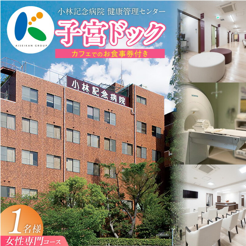 【ふるさと納税】小林記念病院 子宮ドック 利用券 1名様分 子宮 卵巣 MRI 子宮頸部細胞診 HPV ヒトパピローマウイルス 子宮内膜症 早期発見 予防 女性 券 チケット ギフト用 贈り物 愛知県 碧南市 送料無料