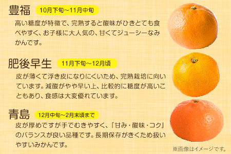 【先行予約】旬のみかん 10kg《9月中旬-2月末頃出荷》みかん