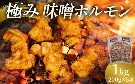 極み味噌ホルモン 1kg(200g×5袋) EB8-0323