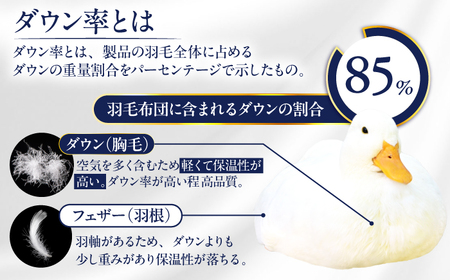 【訳あり】【 糸島 羽毛 ふとん 】羽毛 布団 柄おまかせ ダウン85％【ダブル】糸島市 / 株式会社三樹  [AYM005] 本掛け 羽毛布団