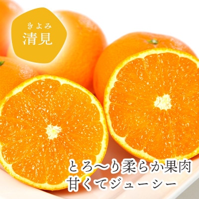 【2025年4月上旬出荷】果汁たっぷり ジューシー清見5kg【D25−126】【配送不可地域：離島】【1268370】