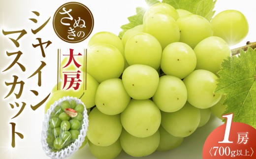 大房シャインマスカット 700g (1房)
