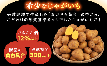 【2月中旬以降順次発送】壱岐黄金じゃがいも 5kg 《壱岐市》【壱岐市農業協同組合】 じゃがいも ジャガイモ ポテト 野菜 季節の野菜 夏野菜 冬野菜[JBO139]