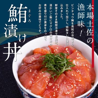 ふるさと納税 高知市 高知の海鮮丼の素「マグロの漬け」約80g×10パック【BX033】