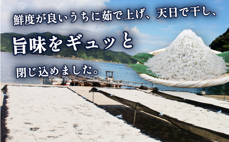 ちりめん 80g × 6袋 計 480g 時栄水産 ちりめんじゃこ しらす干し ちりめん干し しらす 冷蔵 じゃこ おつまみ 加工品 ふりかけ 弁当 おにぎり 天日干し カタクチイワシ 高級 数量限定