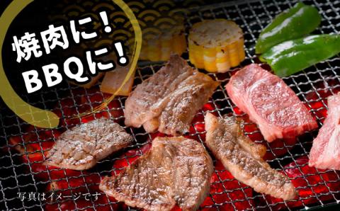 五島牛 焼肉セット 肩ロース バラ 700g  BBQ 五島市/ごとう農業協同組合 [PAF001]