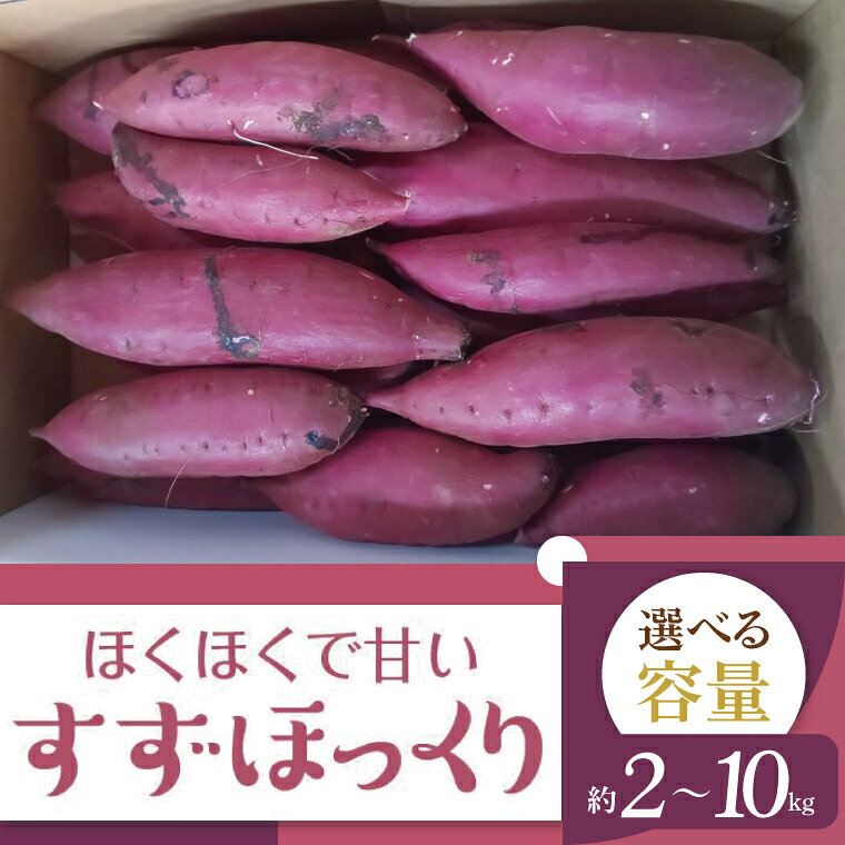 【ふるさと納税】【2026年11月より順次発送】2026年度産 ホクホクで甘いさつまいも すずほっくり 約2～10kg｜さつまいも 芋 お芋 すずほっくり 渋谷農園 茨城県 行方市(BZ-13)