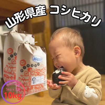 ふるさと納税 飯豊町 【生産者の顔が見える米】令和7年飯豊町産コシヒカリ10kg【白米】