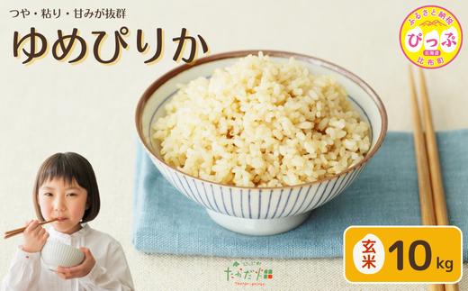 令和7年産 ゆめぴりか 玄米 10kg【たかだ畑】 米 お米 北海道米 特Aランク 国産 玄米 コメ 2025年産 北海道 比布町 ぴっぷ 1018-013