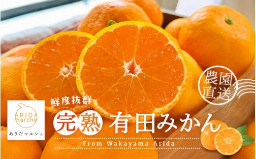 
                  【先行予約】農園直送！完熟有田みかん 約1kg+200g【11月・12月発送からお選びいただけます】【ard002-2B】
                