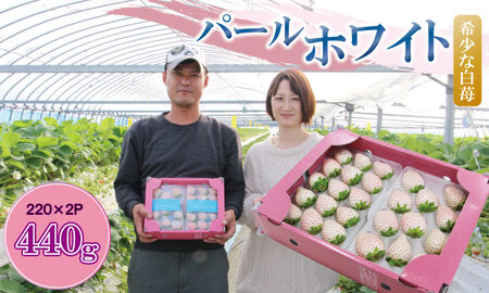 【先行予約】R9年1月中旬頃出荷開始 白いちご パールホワイト（2パック）220g×2（合計440g）白いちご B140-035