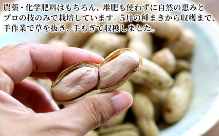落花生 あんばい農園の完熟・適熟 生落花生 セット 1.7kg 食べ比べ　千ブランド【生落花生 落花生 食べ比べ 豆 つまみ おつまみ】 ピーナッツ 大粒 