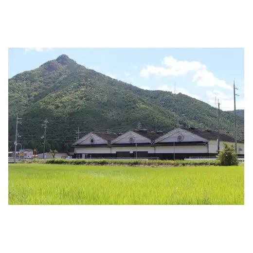 国産有機醤油と黒大豆しょうゆ詰め合わせ[164]