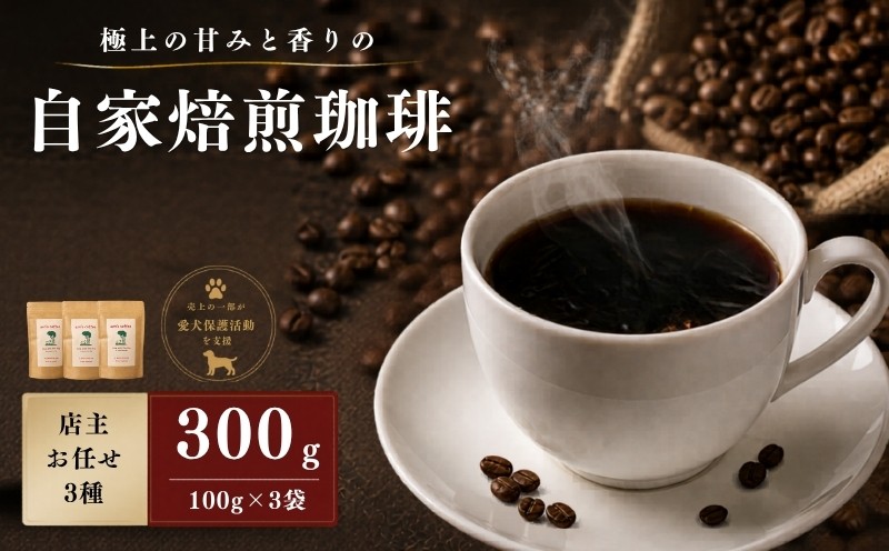 
                  【店主お任せ】 自家焙煎 珈琲豆 300g 100g×3袋 ( コーヒー コーヒー豆 珈琲 豆 粉 深煎り 水出し アイスコーヒー ドリップ 小分け ブレンド 日用品 保護犬 動物支援 動物福祉 保護活動 動物愛護 アウトドア キャンプ ギフト 贈答 贈り物 プレゼント 人気 ランキング 京都府 京都 京丹波町 )
                