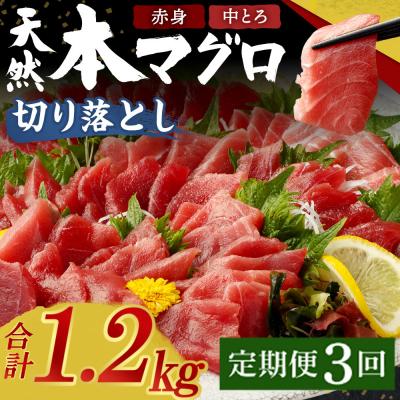 ふるさと納税 室戸市 【定期便 / 3ヶ月連続】 天然本マグロ (赤身・中とろ) 切り落とし 合計1.2kg