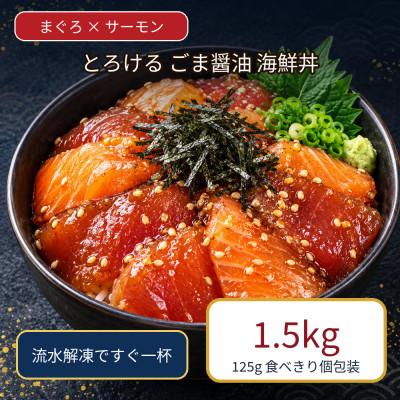 ふるさと納税 和水町 ごま醤油 海鮮丼 まぐろ&amp;サーモン 約1.5kg(和水町)