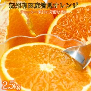 とにかくジューシー清見オレンジ　2.5kg【1560342】