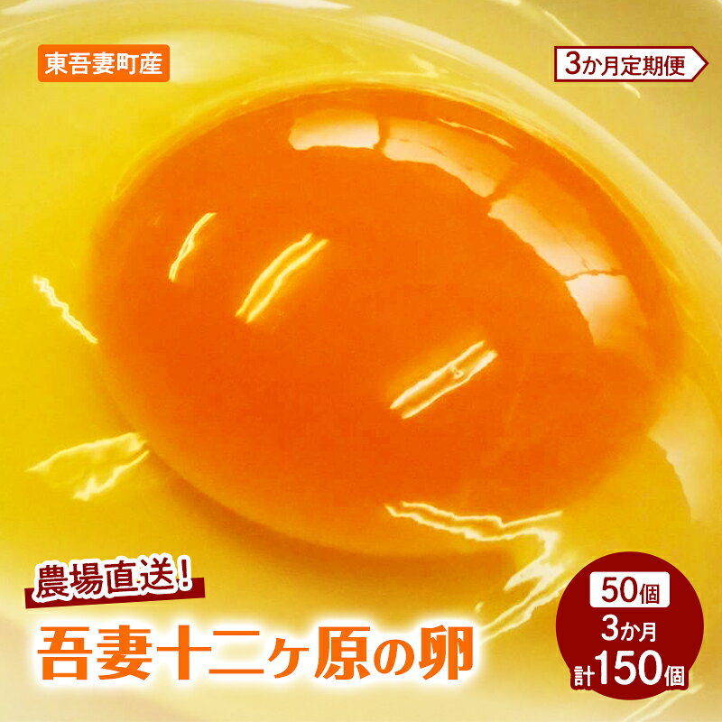 【ふるさと納税】【3か月連続お届け】農場直送！吾妻十二ヶ原の卵（50個） 鶏卵 たまご タマゴ 卵 安心 こだわり 食卓 堀田養鶏場 群馬県 東吾妻町