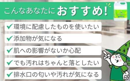 ＜毎月定期便(全12回)＞食器用洗剤 緑の魔女キッチン5L×1本 | 台所洗剤 食器 キッチン