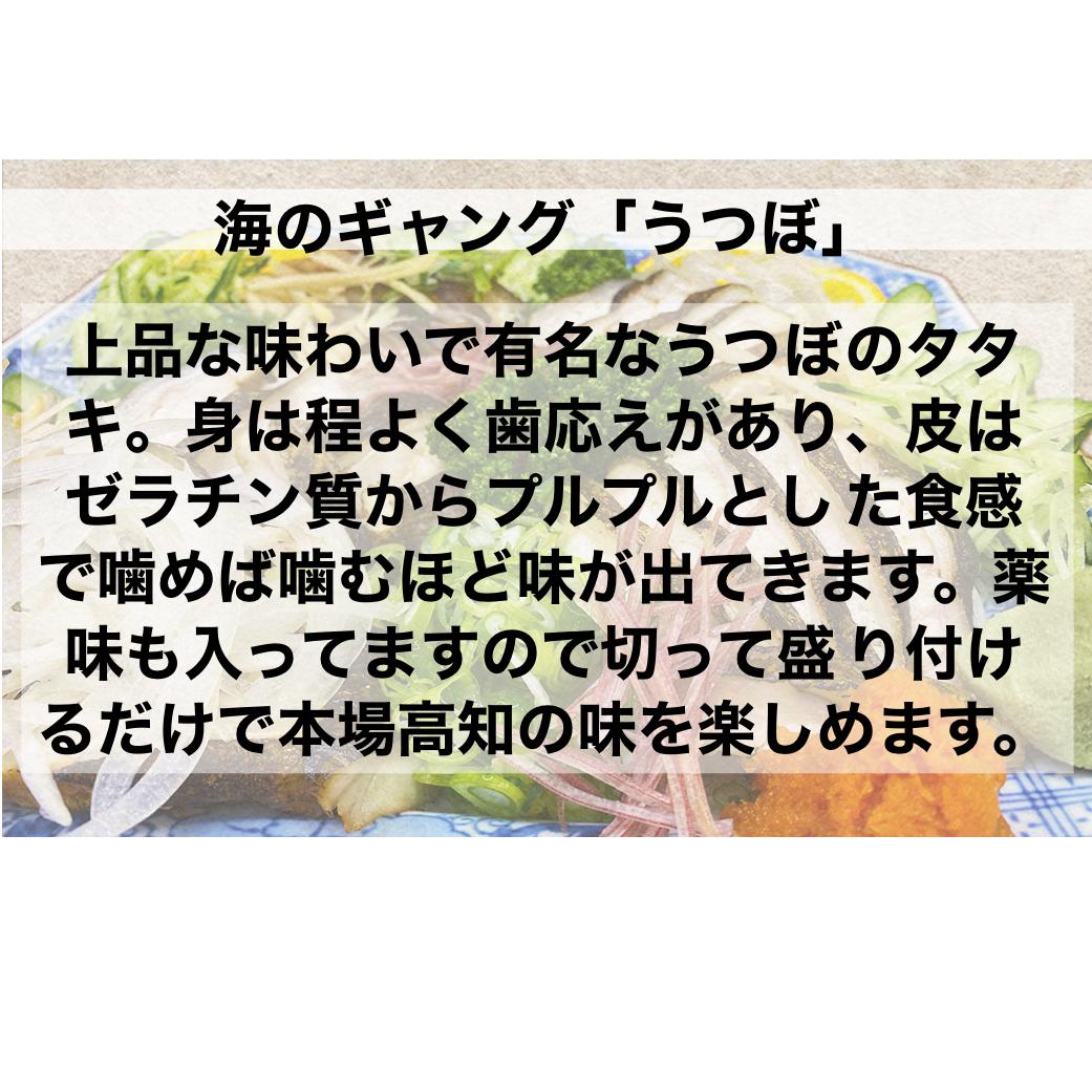 ≪ヤマシン≫ 土佐のウツボのタタキ 　たたき うつぼ 魚 海鮮 250g～300g コラーゲン 特製タレ付き 珍味 お取り寄せグルメ お祝い 冷蔵_イメージ2