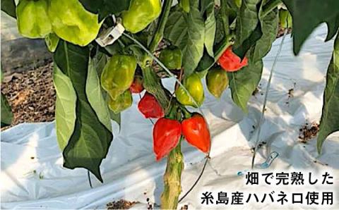 ハバネロ調味料 200ml 5本セット【シェフのごはんやさん四季彩】 【いとしまごころ】 [ACC008]