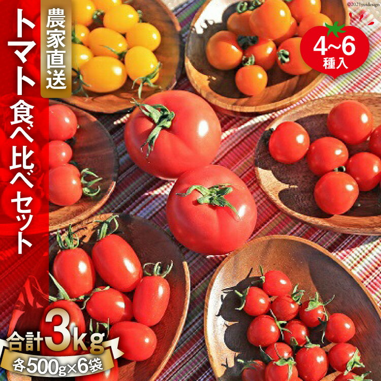 【ふるさと納税】【先行受付】新鮮 採れたて トマト 食べ比べセット 3kg（500g×6袋） [ マルヨシ園芸 山梨県 中央市 ] とまと 野菜 食べ比べ 3キロ 季節限定 数量限定 【2026年1月上旬～5月下旬発送予定】