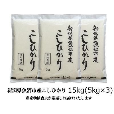 ふるさと納税 魚沼市 【令和8年産】農産物検査員お奨め、魚沼産こしひかり(精米)15kg(5kg×3)
