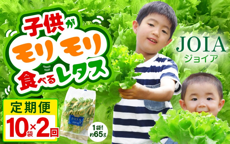 
            定期便 ≪2ヶ月連続お届け≫苦くな～い！野菜ぎらいの子もモリモリ食べるやさしいレタス 約65g×10袋（栽培期間中農薬不使用・洗わず食べられる） 【野菜 生野菜 レタス サラダ お弁当 水耕栽培 洗わず食べられる 時短 付け合わせ】[m40-b010]
          