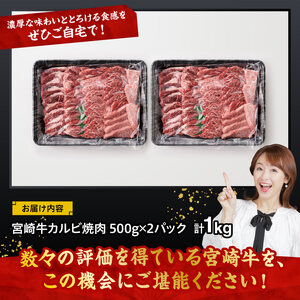 宮崎牛 カルビ焼肉 1kg 【 肉 牛肉 国産 宮崎県産 黒毛和牛 カルビ 焼肉 】