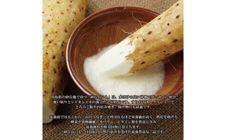 1112.砂丘ながいも1kg