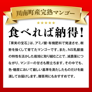 【令和7年発送】宮崎県産完熟マンゴー「果実の宝石」プレミアム　2L×2玉 【 先行予約 数量限定 宮崎県産 九州産 川南町産 糖度15度以上 期間限定 】